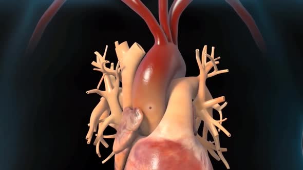 blood clot formation 3d medical