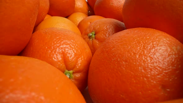 Fresh Oranges 13