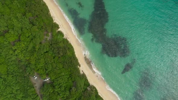 Aerial of beautiful sea coast and green trees, Cap Macre, Le Marin