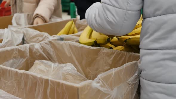 People Choose Bananas in the Market