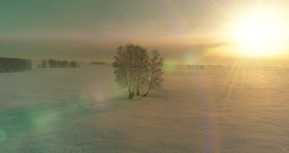 Aerial View of Cold Winter Landscape Arctic Field Trees Covered with Frost Snow Ice River and Sun