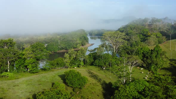 Aerial Drone View of San Carlos River (Rio San Carlos) in Costa Rica, that Connects to Nicaragua, wi