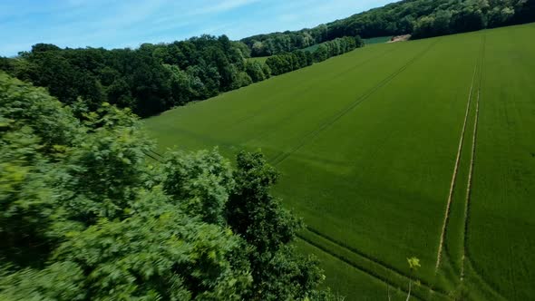 FPV DRONE SHOT - Flying between trees and freestyle