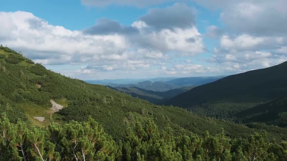 Panorama of Mountain Range with Coniferous Forests and Cumulus Clouds in the Sky