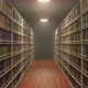 Moving Between Long Bookshelves with a Lot of Books in Old Retro Style Library - VideoHive Item for Sale