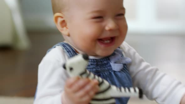 Caucasian Baby Playing with Toy Zebra