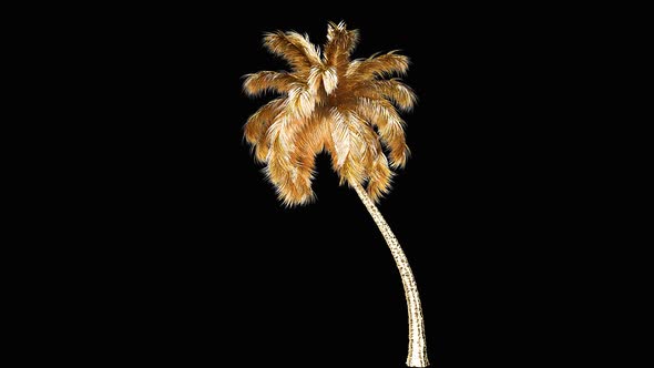 Golden Palm Tree In The Wind 3