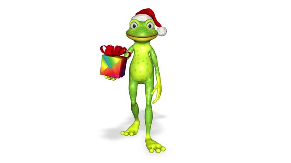 Frog Christmas Santa Shows Gift Looped White Background