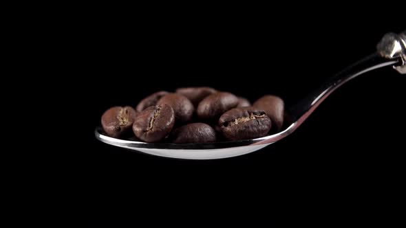 Fresh roasted arabica coffee beans falling out of a full metal dessert spoon 