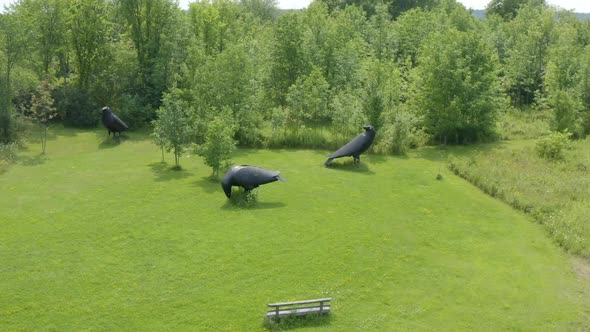 The 3 Crows Giant Metal Art Statues by Will Salisbury - Aerial Drone View in HD and 4K