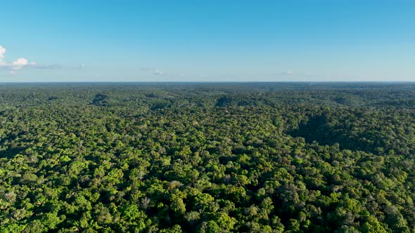 Stunning landscape of Amazon Forest at Amazonas State Brazil.