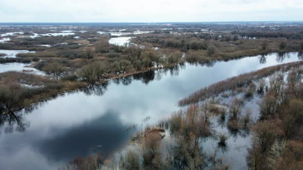 Aerial View Forest Woods And River Landscape 4k