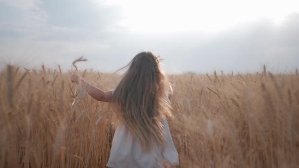 Small Female Child Runs Among Ripe Ears of Wheat Field Against Background of Blue Heaven During