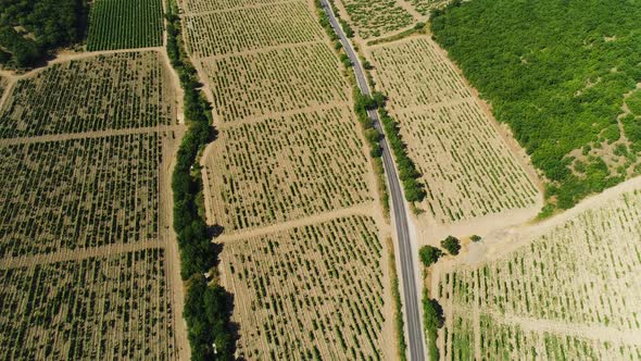 Agricultural area and farming lands