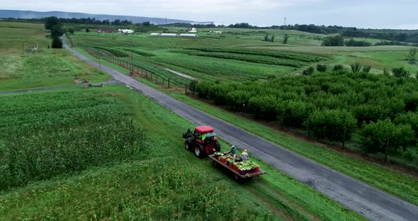 Aerial view of tractor pulling a flatbed filled with corn freshly picked from the field.