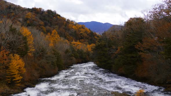 River And Autumn Trees