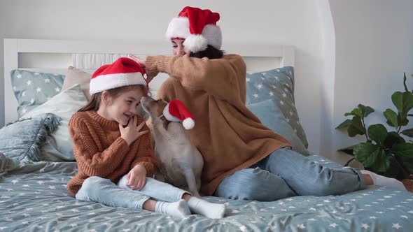 Happy Woman in Santa Hat with Girl Daughter and Smiling Jack Russell Terrier Dog Sit on Beautiful