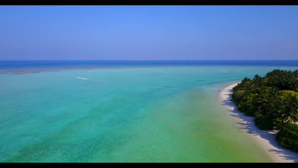 Aerial panorama of tranquil seashore beach wildlife by blue ocean with white sand background of a da
