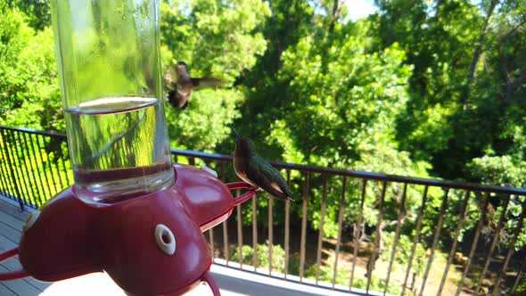 In a backyard in the suburbs, two humming birds with green feathers hover and sit at a bird feeder i