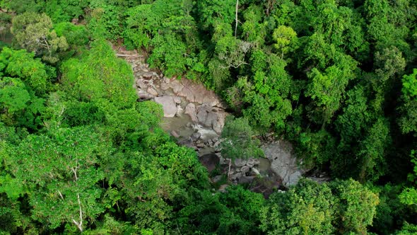 Flight over creek in tropical jungle, healthy rainforest in Ko Samui, Thailand