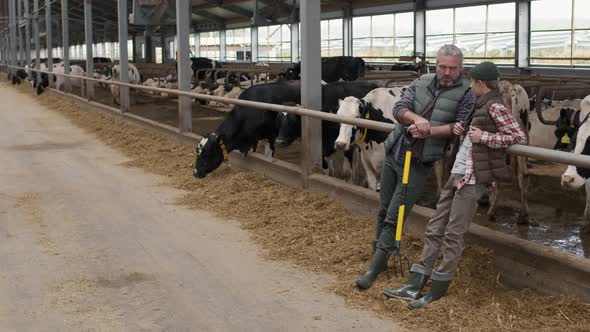 Father Talking to Teenage Son at Dairy Farm
