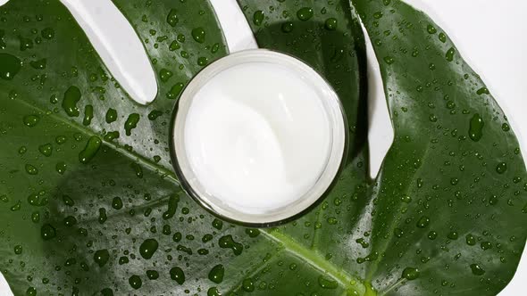 White Cosmetic Cream with Rotation on Background of Tropical Leaves Monstera