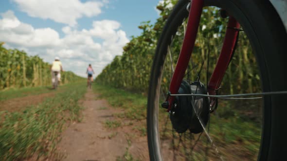 Bicycle Wheel in Motion Along Country Road, Close-up