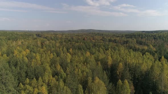 Aerial view of Autumn Forest 01