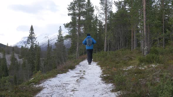 The Traveler Follows a Forest Path Along a Mountain Stream. He Explores New Routes