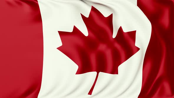 4K Seamlessly Looping Canada Flag Series E