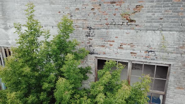 Flying Low Over Abandoned Old Plant