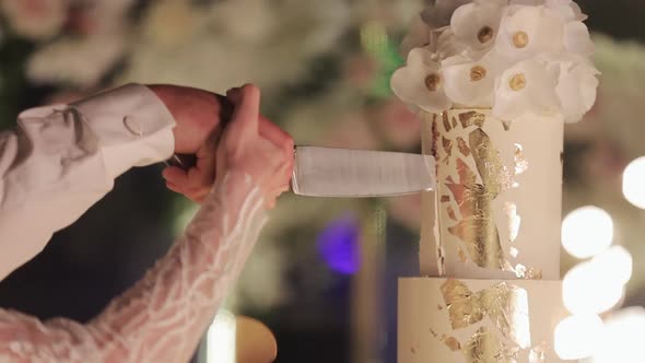 Bride and Groom Cut the Wedding Cake