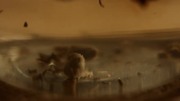 Macro View of Aromatic and Relaxing Infusion of Tea From Sri Lanka