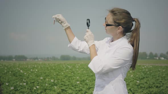 Female biologist examines pests