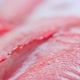 Fresh raw fish meat. Perch - VideoHive Item for Sale