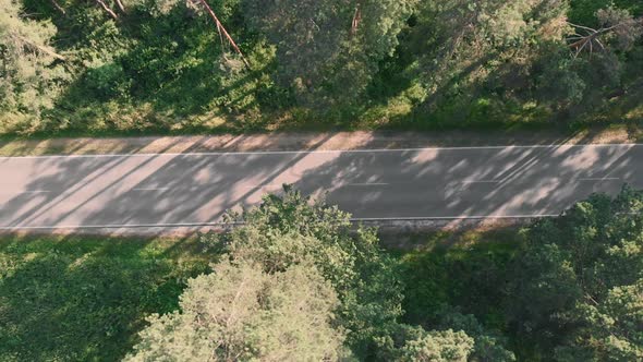 Empty car road in forest at sunset