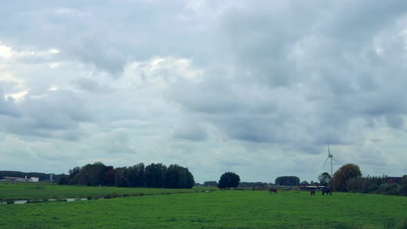 Time lapse shot of rural dutch landscape with horses on meadow,stream and moving cloudscape.