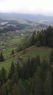 Vertical Video Village in the Carpathian Mountains in Autumn