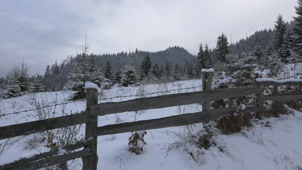 Wooden fence on winter time