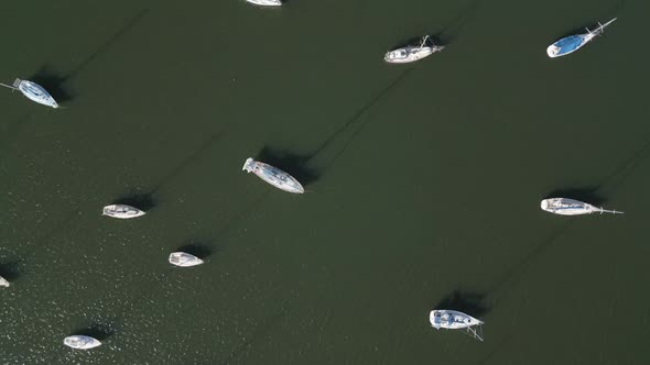 Aerial top down view of boats parking on Sydney Bay, Australia