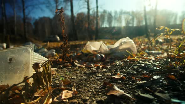 Plastic Garbage Pollutes Park