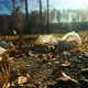 Plastic Garbage Pollutes Park - VideoHive Item for Sale