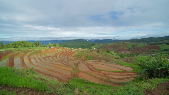 Time lapse of paddy rice terraces with water reflection, green agricultural fields in countryside