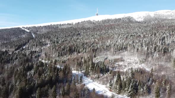 Drone flight over a snow-covered fir forest with a television antenna on a hill in the background (C