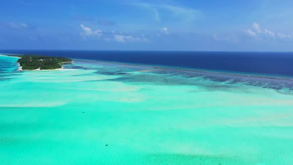 Aerial drone tourism of idyllic seashore beach wildlife by turquoise sea and clean sandy background 