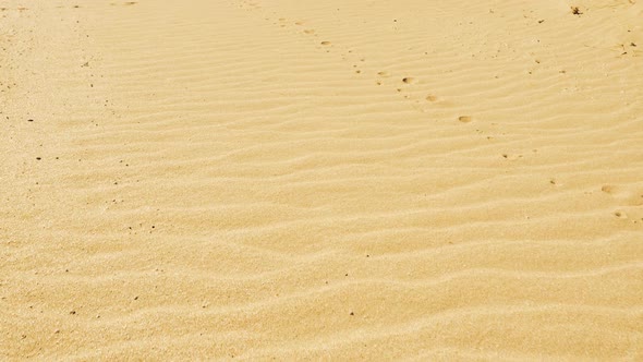 Sandy Dunes