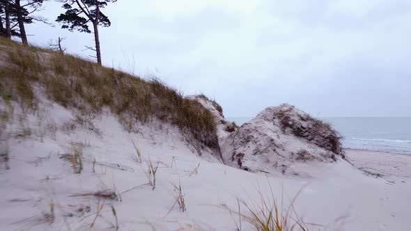 Aerial view of Baltic sea coastline at Bernati beach in Latvia, flying forward over coastal pines an