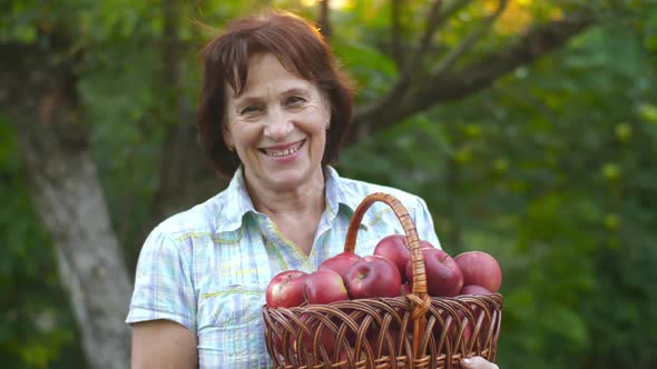 Woman with a Lot of Apples