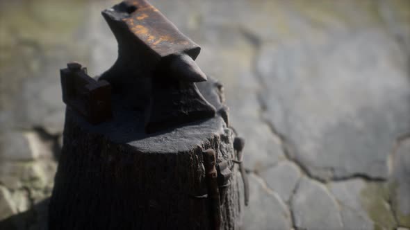 Old Anvil Attached To a Stump