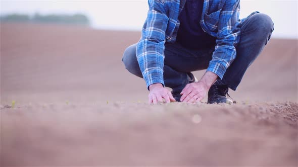 Farmer Examining Organic Soil in Hands, Farmer Touching Dirt in Agriculture Field